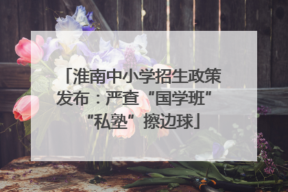 淮南中小学招生政策发布：严查“国学班”“私塾”擦边球