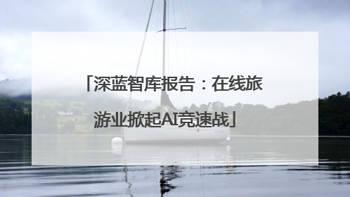 深蓝智库报告：在线旅游业掀起AI竞速战