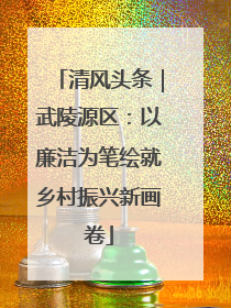 清风头条｜武陵源区：以廉洁为笔绘就乡村振兴新画卷