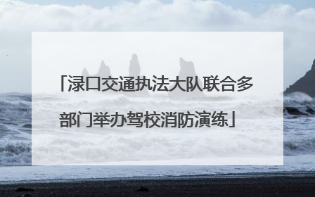 渌口交通执法大队联合多部门举办驾校消防演练