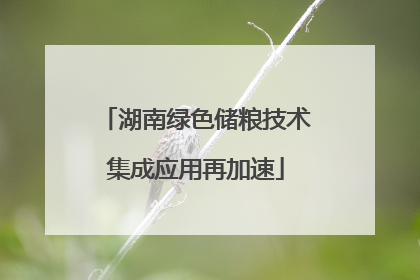 湖南绿色储粮技术集成应用再加速