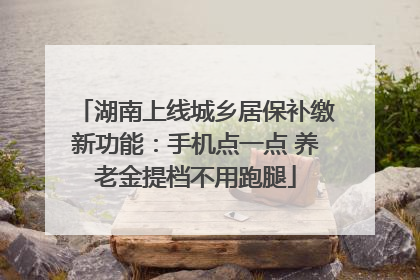 湖南上线城乡居保补缴新功能：手机点一点 养老金提档不用跑腿