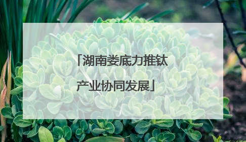 湖南娄底力推钛产业协同发展