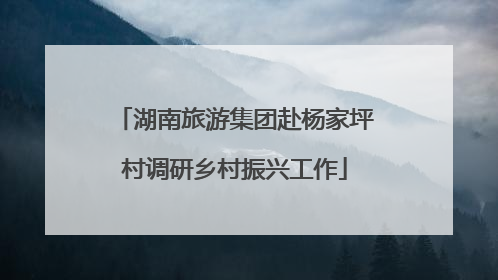 湖南旅游集团赴杨家坪村调研乡村振兴工作