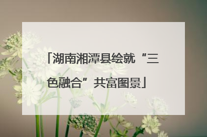 湖南湘潭县绘就“三色融合”共富图景