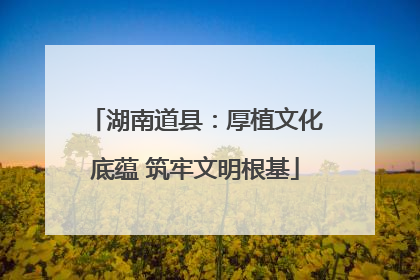 湖南道县：厚植文化底蕴 筑牢文明根基