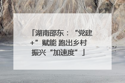 湖南邵东：“党建+”赋能 跑出乡村振兴“加速度”