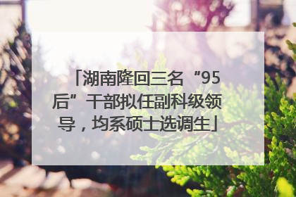 湖南隆回三名“95后”干部拟任副科级领导，均系硕士选调生