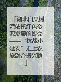 湖北白果树湾依托红色资源发展的蝶变——“抗战小延安”走上农旅融合振兴路