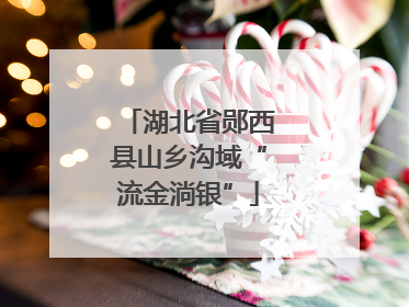 湖北省郧西县山乡沟域“流金淌银”