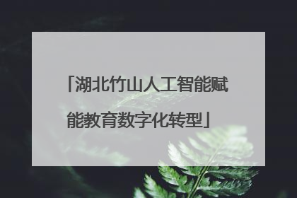 湖北竹山人工智能赋能教育数字化转型