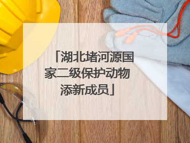 湖北堵河源国家二级保护动物添新成员
