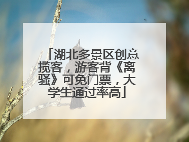 湖北多景区创意揽客，游客背《离骚》可免门票，大学生通过率高