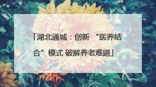 湖北通城：创新 “医养结合”模式 破解养老难题