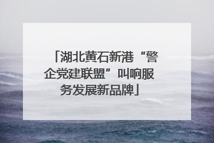湖北黄石新港“警企党建联盟”叫响服务发展新品牌
