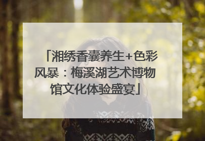 湘绣香囊养生+色彩风暴：梅溪湖艺术博物馆文化体验盛宴
