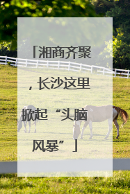 湘商齐聚，长沙这里掀起“头脑风暴”