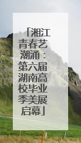 湘江青春艺潮涌：第六届湖南高校毕业季美展启幕