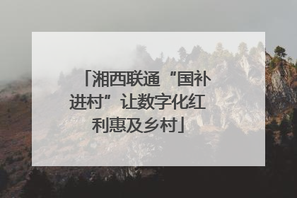 湘西联通“国补进村”让数字化红利惠及乡村