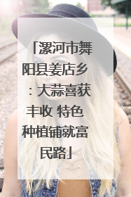 漯河市舞阳县姜店乡：大蒜喜获丰收 特色种植铺就富民路