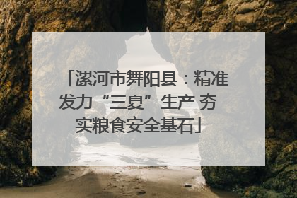 漯河市舞阳县：精准发力“三夏”生产 夯实粮食安全基石