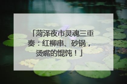 菏泽夜市灵魂三重奏：红柳串、砂锅，烫嘴的馄饨！