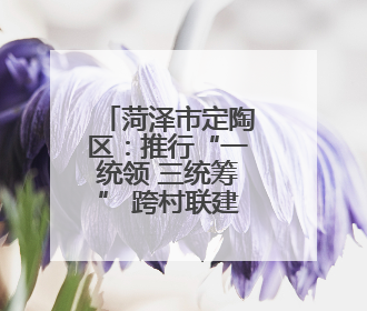 菏泽市定陶区：推行“一统领 三统筹” 跨村联建模式 带动片区共同富裕