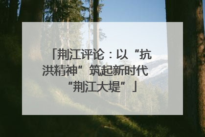 荆江评论：以“抗洪精神”筑起新时代“荆江大堤”