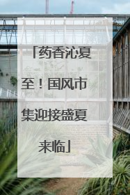 药香沁夏至！国风市集迎接盛夏来临