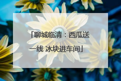 聊城临清：西瓜送一线 冰块进车间