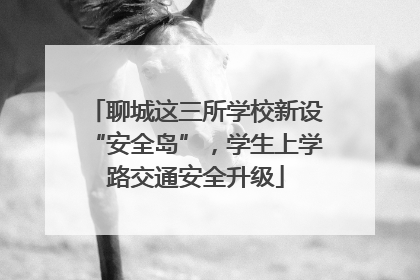 聊城这三所学校新设“安全岛”，学生上学路交通安全升级