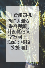 聋哑司机偷拍大量女乘客视频，并配低俗文字发网上，滴滴：将核实处理