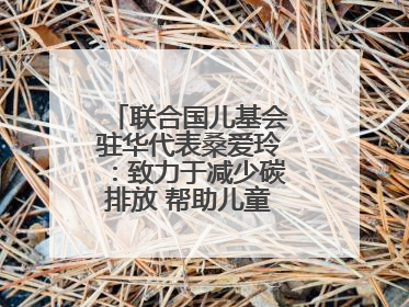 联合国儿基会驻华代表桑爱玲：致力于减少碳排放 帮助儿童适应气候变化