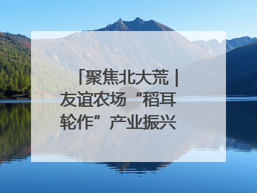 聚焦北大荒｜友谊农场“稻耳轮作”产业振兴“花开两朵”