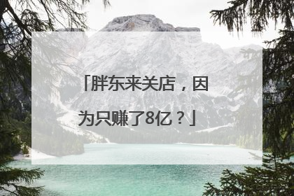 胖东来关店，因为只赚了8亿？