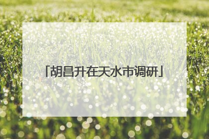 胡昌升在天水市调研