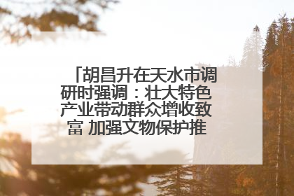 胡昌升在天水市调研时强调：壮大特色产业带动群众增收致富 加强文物保护推动文化创新发展