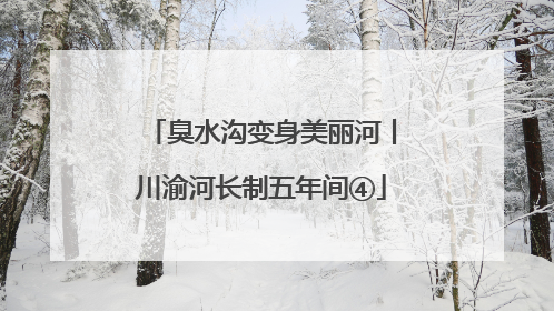 臭水沟变身美丽河丨川渝河长制五年间④