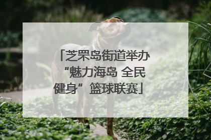 芝罘岛街道举办“魅力海岛 全民健身”篮球联赛