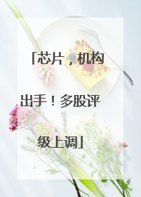 芯片，机构出手！多股评级上调