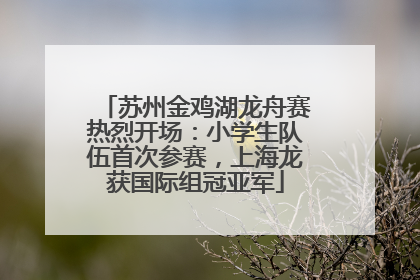 苏州金鸡湖龙舟赛热烈开场：小学生队伍首次参赛，上海龙获国际组冠亚军