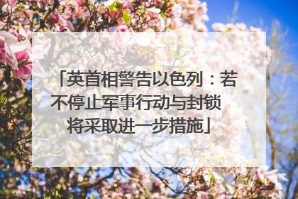 英首相警告以色列：若不停止军事行动与封锁 将采取进一步措施