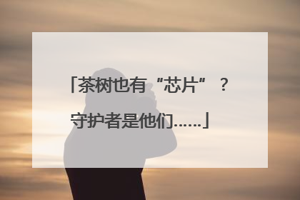 茶树也有“芯片”？守护者是他们……