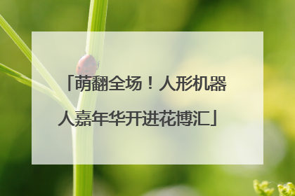 萌翻全场！人形机器人嘉年华开进花博汇