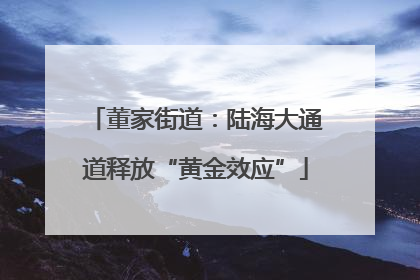 董家街道：陆海大通道释放“黄金效应”