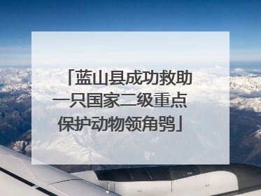 蓝山县成功救助一只国家二级重点保护动物领角鸮