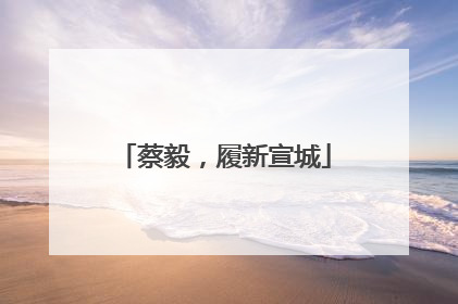 蔡毅，履新宣城