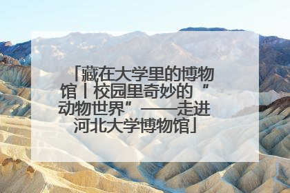 藏在大学里的博物馆丨校园里奇妙的“动物世界”——走进河北大学博物馆