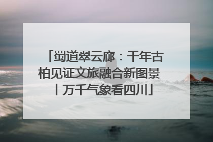 蜀道翠云廊：千年古柏见证文旅融合新图景丨万千气象看四川