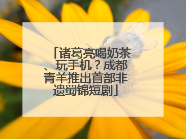 诸葛亮喝奶茶、玩手机？成都青羊推出首部非遗蜀锦短剧